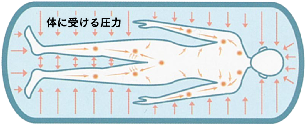 リンパの流れと血液循環を促進